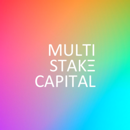 Multi-Stake Capital